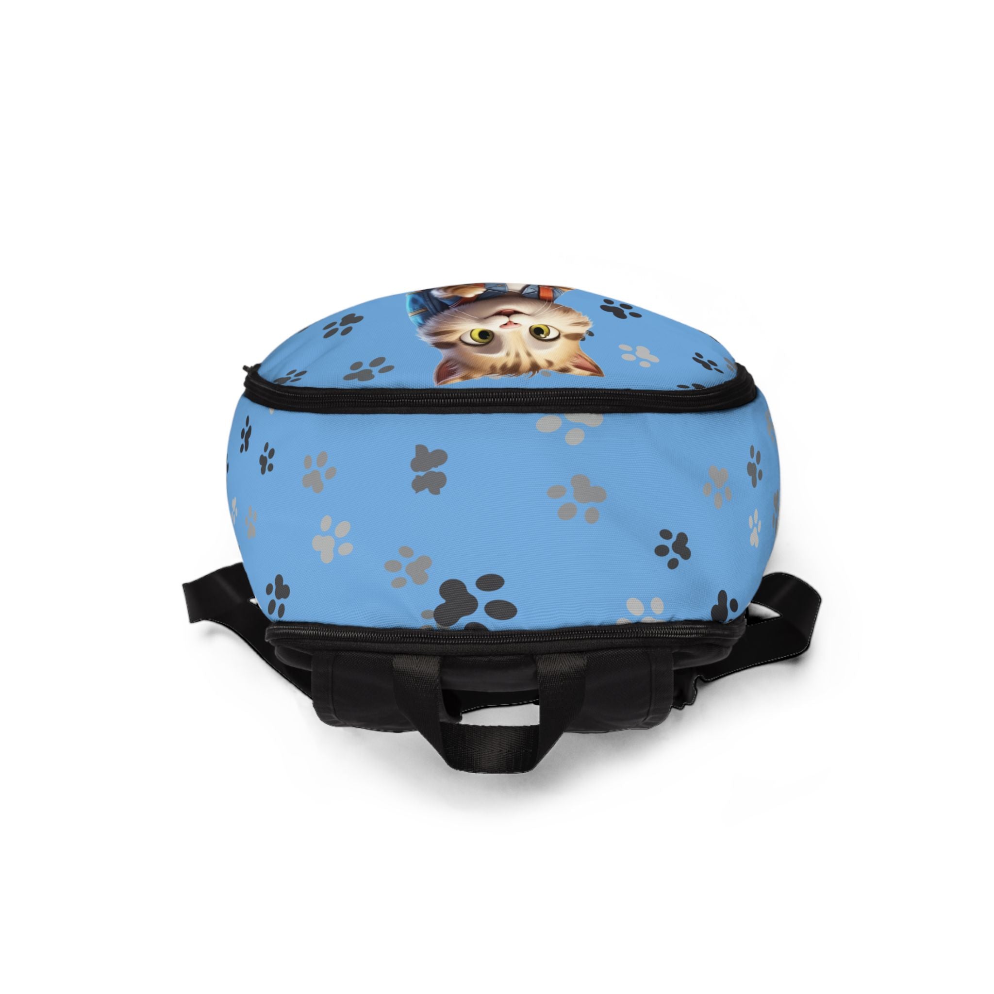 Kids Cat Character Nylon Backpack, Back to School Backpack 16"X12"X5" Blue