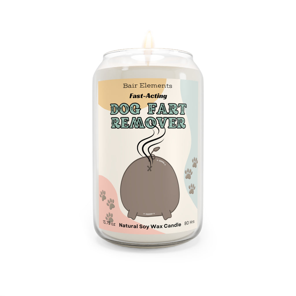 Dog Fart Remover, Scented Soy Candle, 13.75oz, 3 Scents