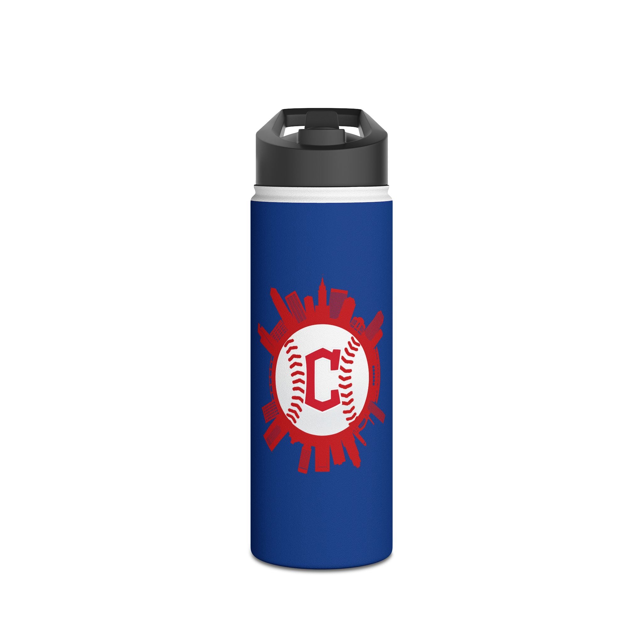 Stainless Steel Water Bottle, Standard Lid