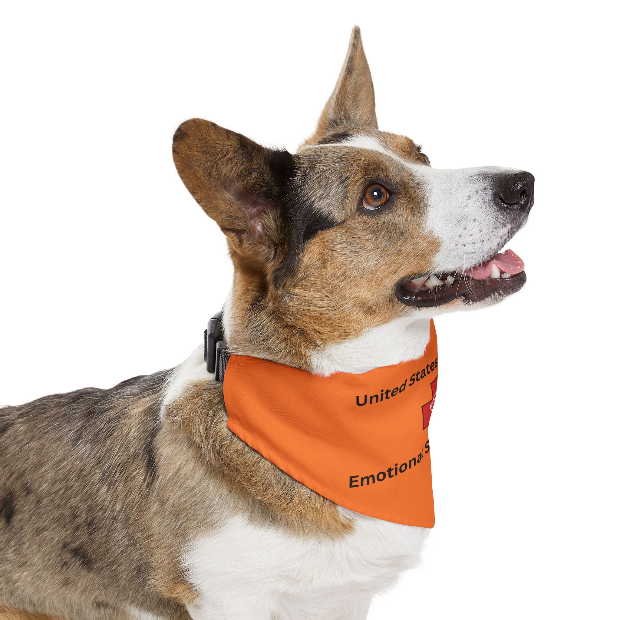 US Registred Emotional Support Animal Pet Bandana Collar, ESA Collar, ESA Identification,