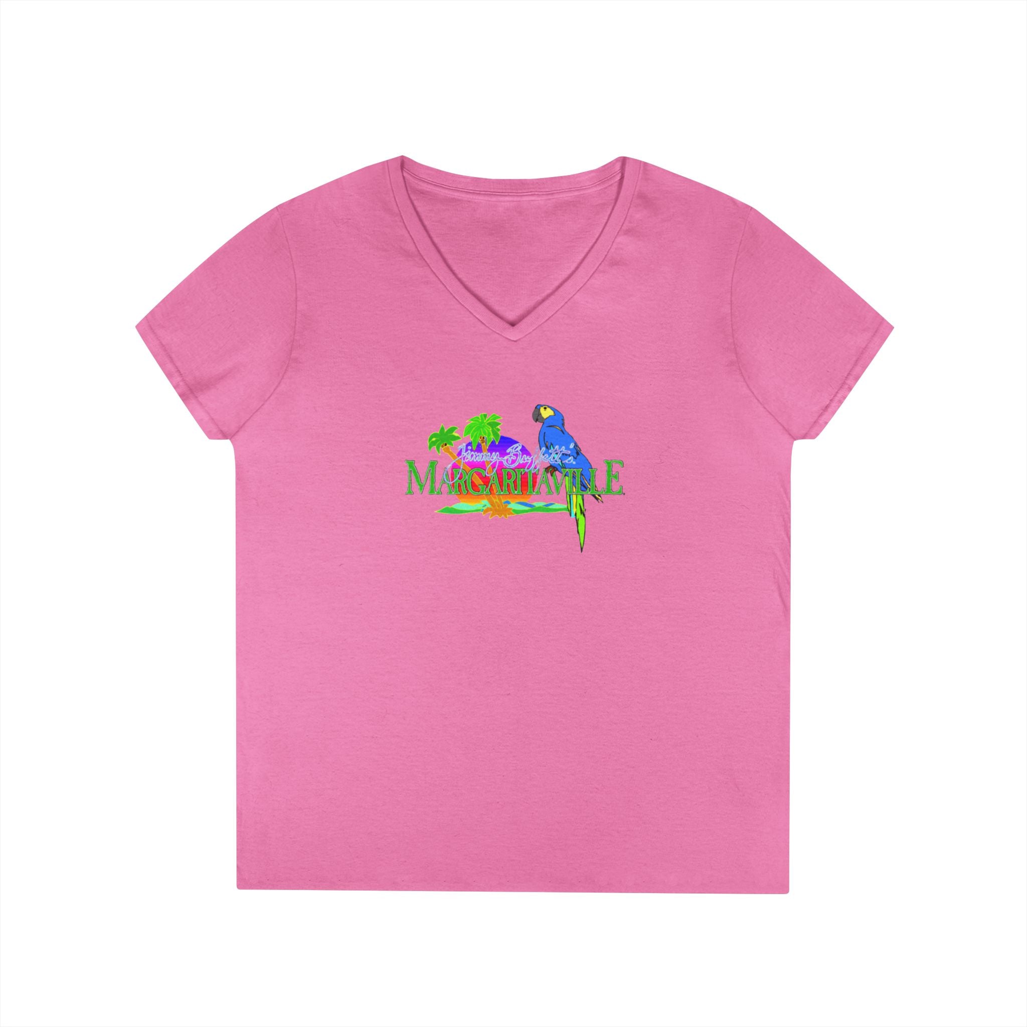 Colorful V-Neck T-Shirt with Tropical Birds Design, Cute Summer Top, Gift for Bird Lovers, Casual Wear, Vacation Outfit