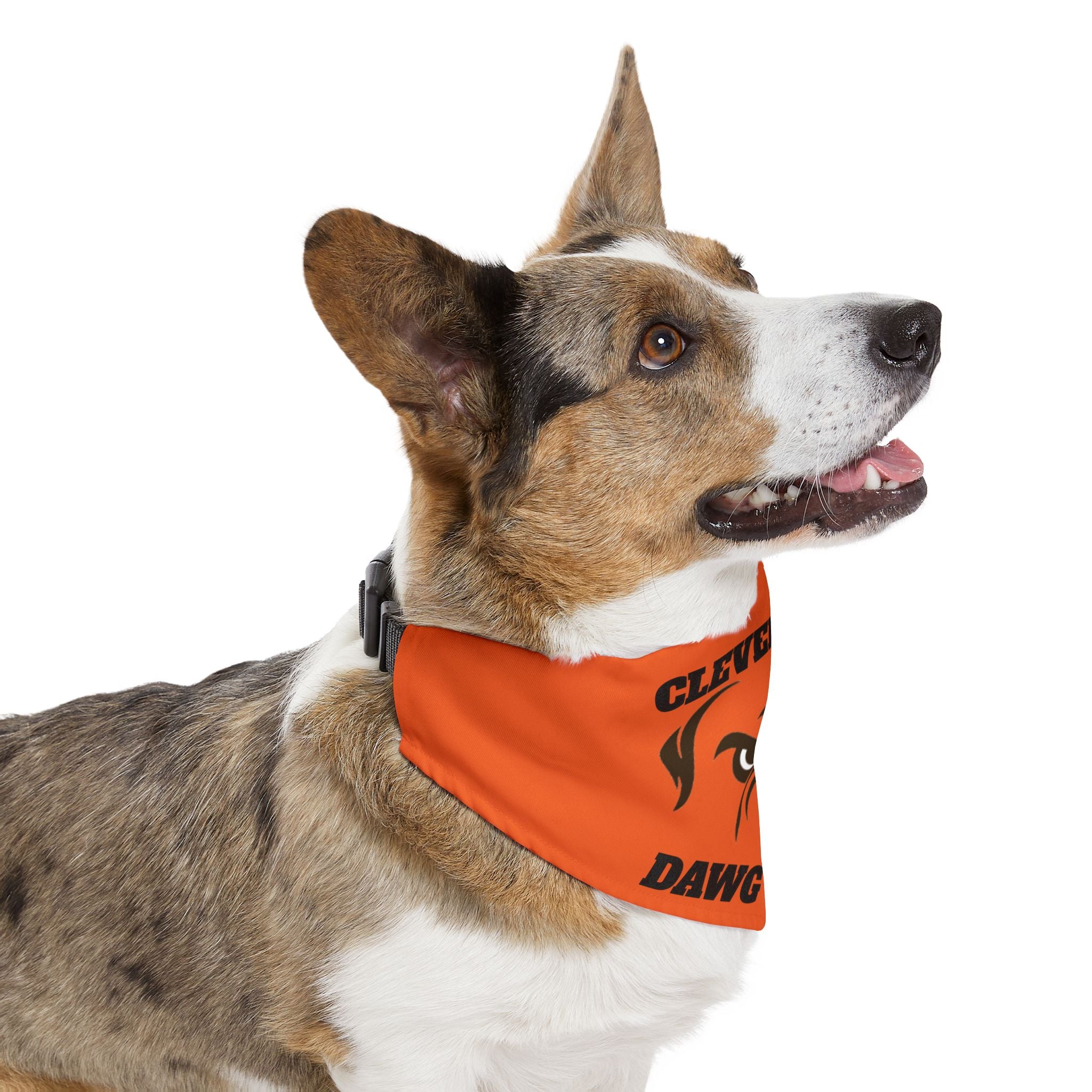 Cleveland DAWG POUND  Bandana w/ Collar